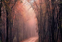 如何善用光线准确曝光